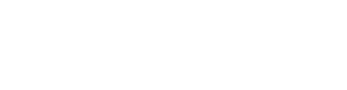 Level Logo